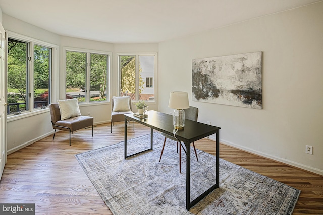 office area featuring baseboards and wood finished floors