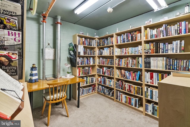 office space with carpet and bookshelves