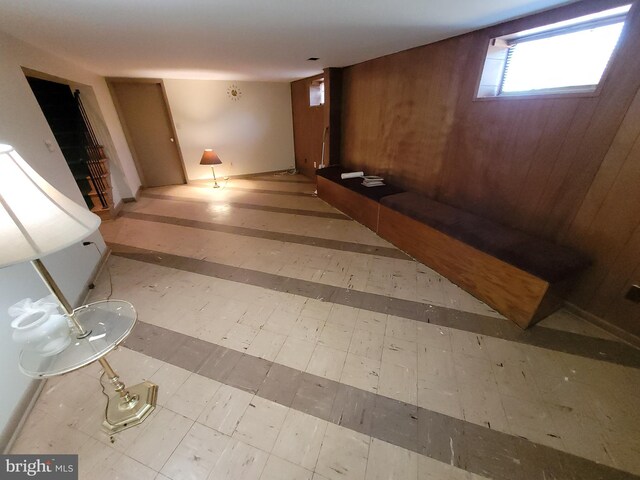 basement with wood walls