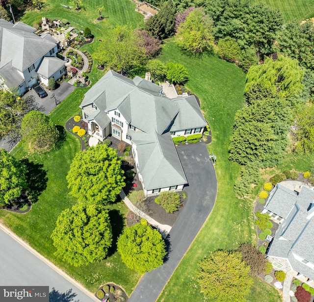 drone / aerial view