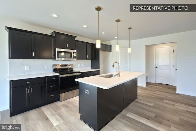 391 Santa Anita Dr Lot 112, Dillsburg, PA 17019 - kitchen with a sink, stainless steel appliances, dark cabinetry, and light wood-type flooring