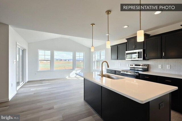 391 Santa Anita Dr Lot 112, Dillsburg, PA 17019 - kitchen featuring appliances with stainless steel finishes, a sink, vaulted ceiling, light countertops, and light wood-type flooring