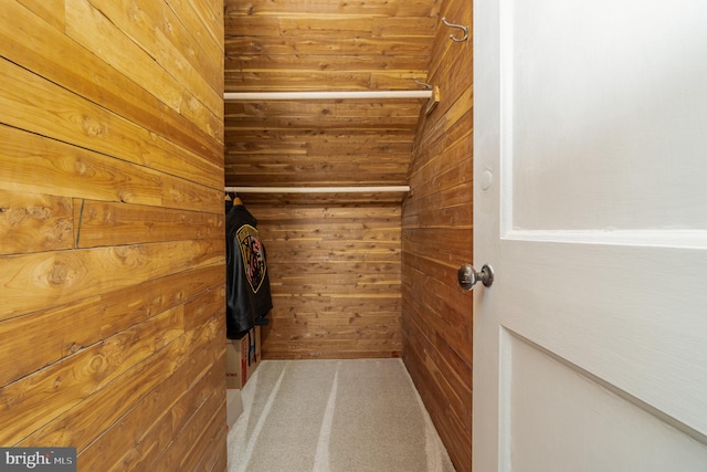 403 E Fourth St, Waynesboro, PA 17268 - walk in closet with carpet floors