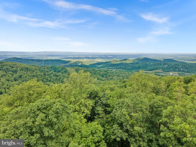 806 Windy Way, Front Royal, VA 22630 - bird's eye view of a forest