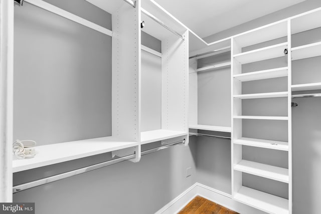 spacious closet with dark wood-type flooring