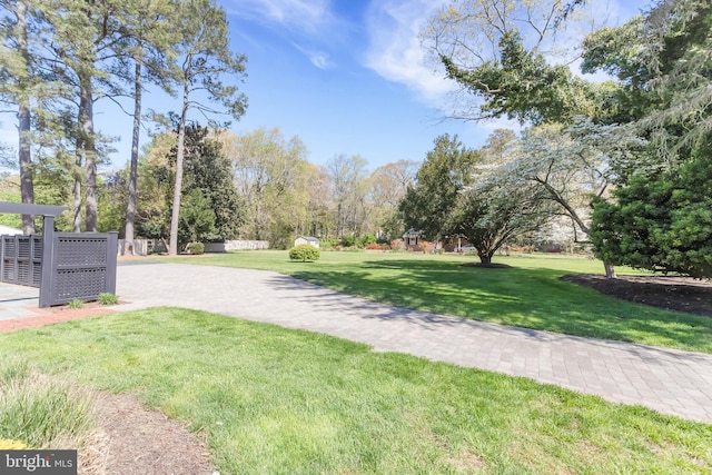 view of home's community with a lawn