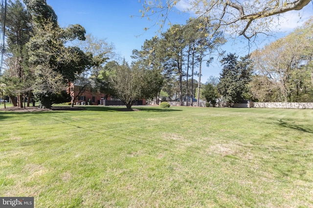 view of yard