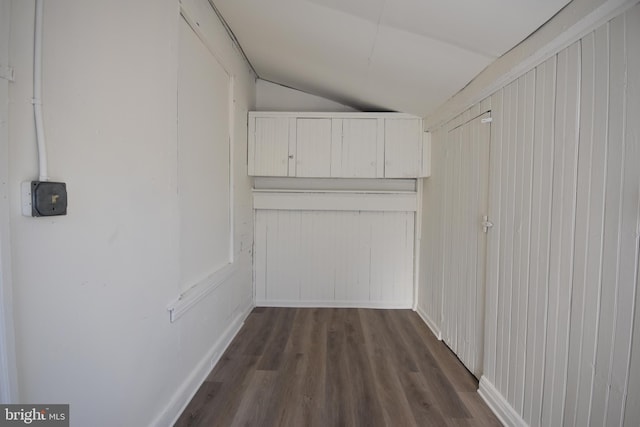 spacious closet with lofted ceiling and dark wood-type flooring