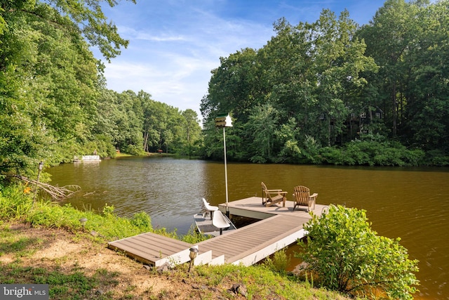 dock area with a water view and a view of trees