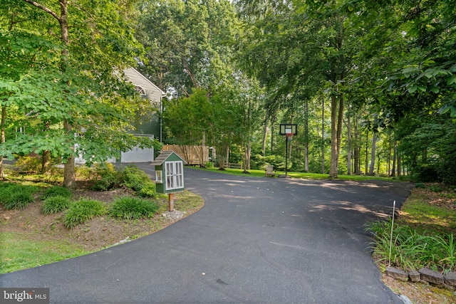 view of street with driveway