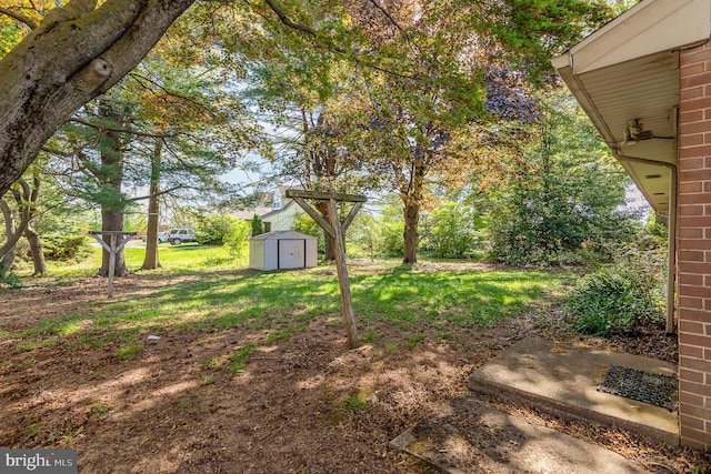 view of yard with an outdoor structure and a shed