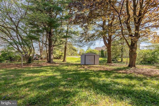view of yard with a storage unit and an outdoor structure
