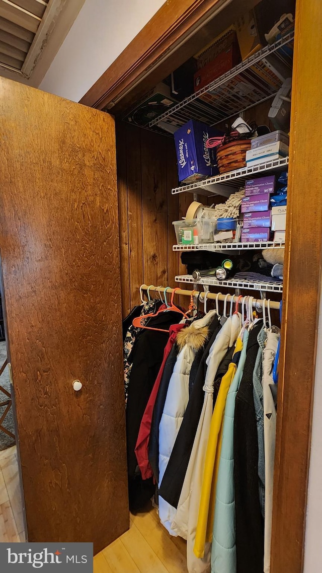 view of closet