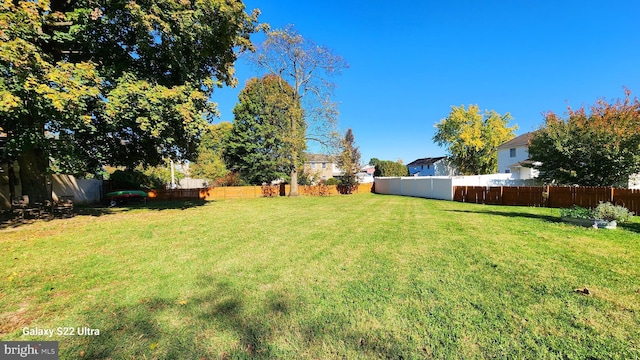 view of yard featuring a fenced backyard