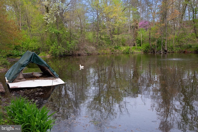 water view with a forest view