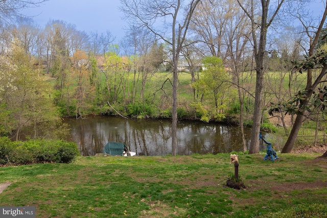 view of water feature