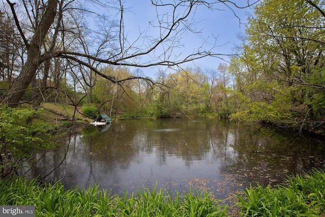 water view featuring a wooded view