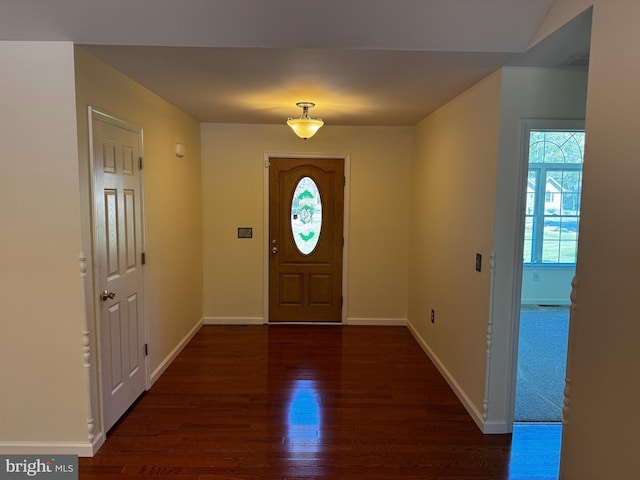 entryway with baseboards, wood finished floors, and a wealth of natural light