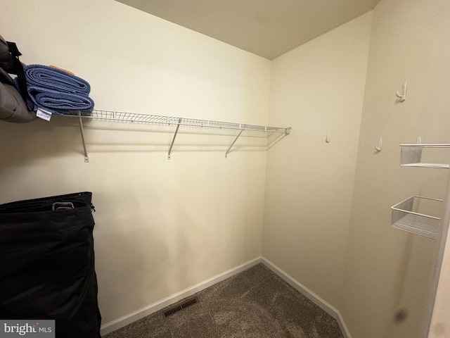 spacious closet featuring carpet flooring and visible vents