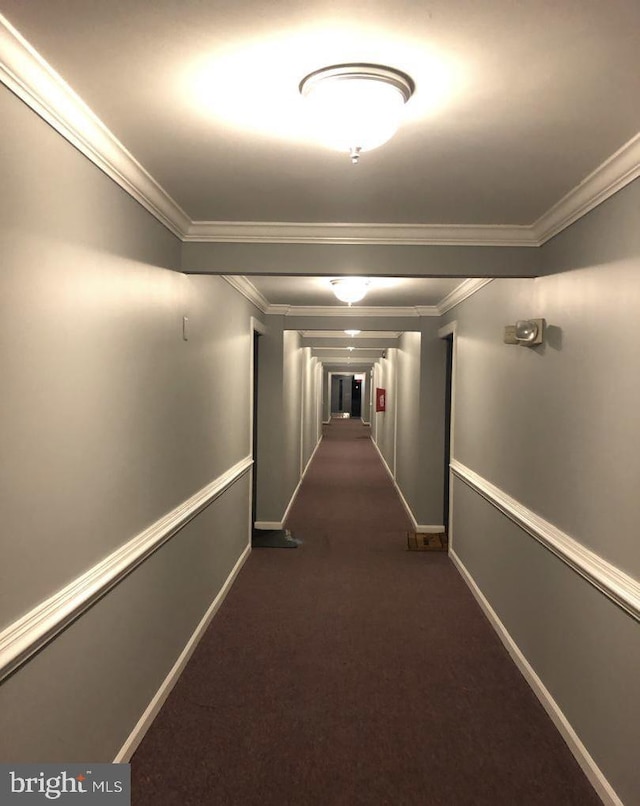 5814 Royal Ridge Dr Unit Q, Springfield, VA 22152 - hallway with crown molding, dark colored carpet, and baseboards