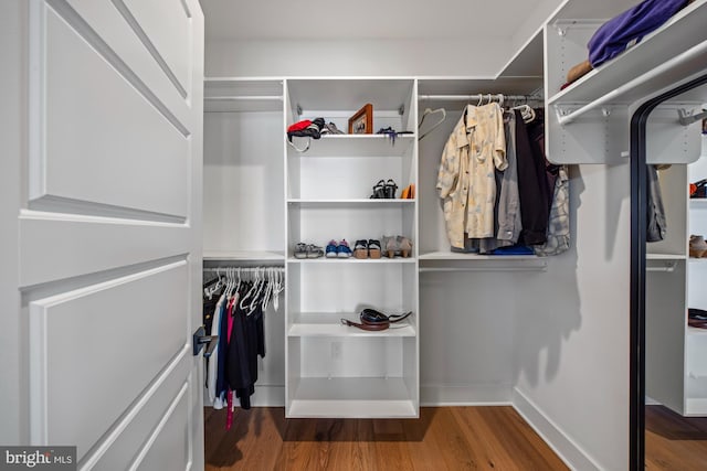 13 N Vendome Ave, Margate City, NJ 08402 - walk in closet with wood finished floors