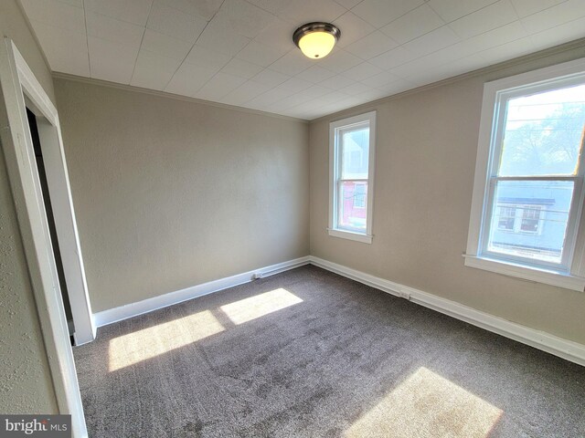 empty room featuring crown molding, carpet flooring, and a healthy amount of sunlight
