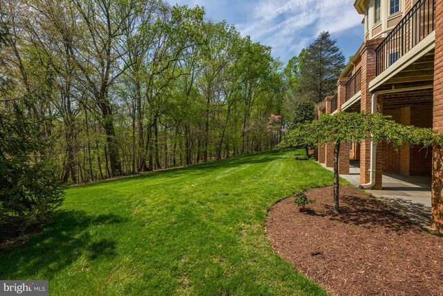 view of green lawn with a patio