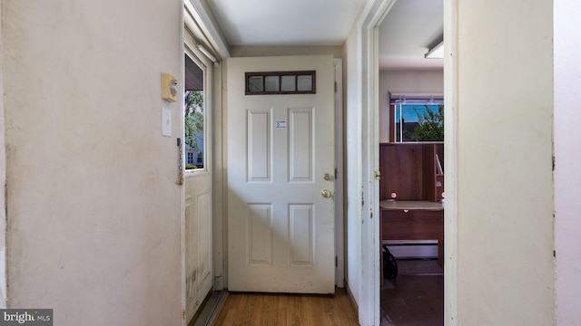 entryway featuring plenty of natural light and wood finished floors