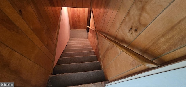 staircase with wood walls