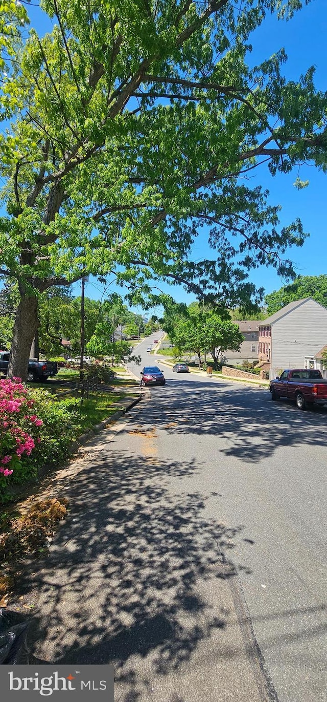 view of street with curbs
