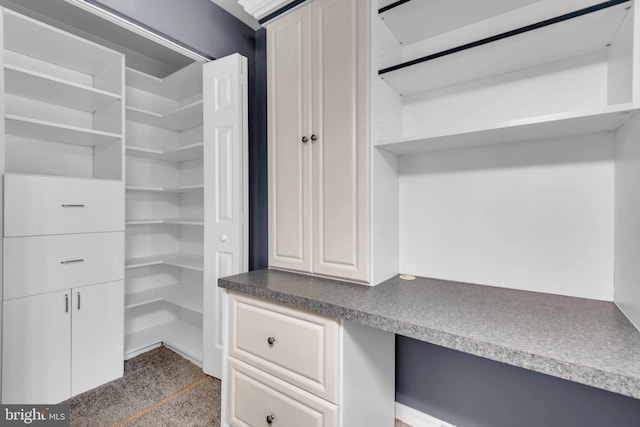 6703 Rapid Water Way Unit 203, Glen Burnie, MD 21060 - view of pantry