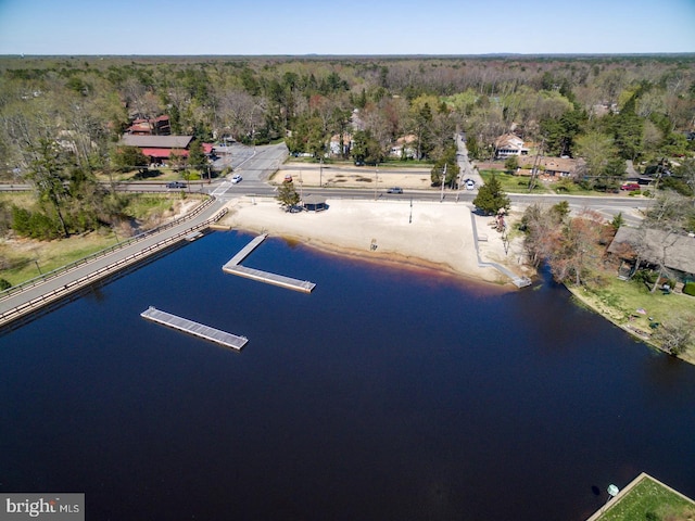 birds eye view of property with a water view and a forest view
