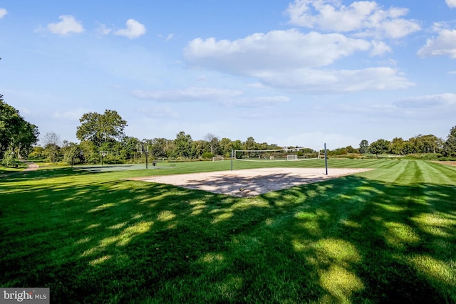 view of property's community with volleyball court, a yard, and view of scattered trees