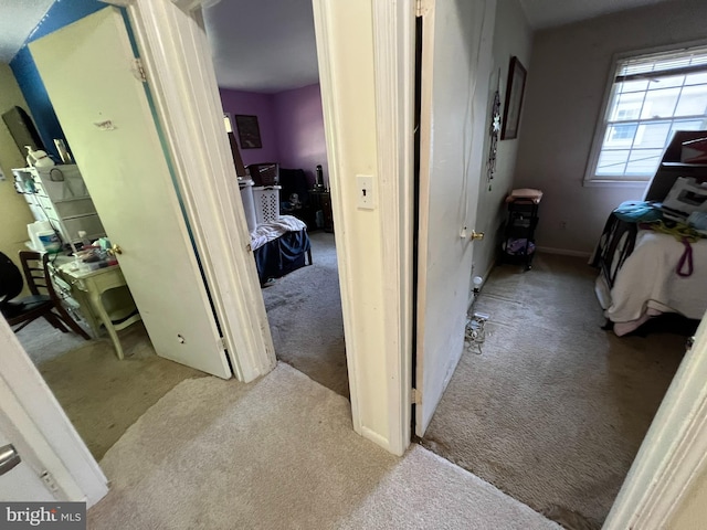 corridor with carpet floors