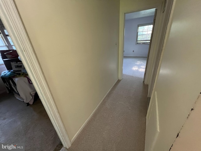 hallway with carpet flooring and baseboards