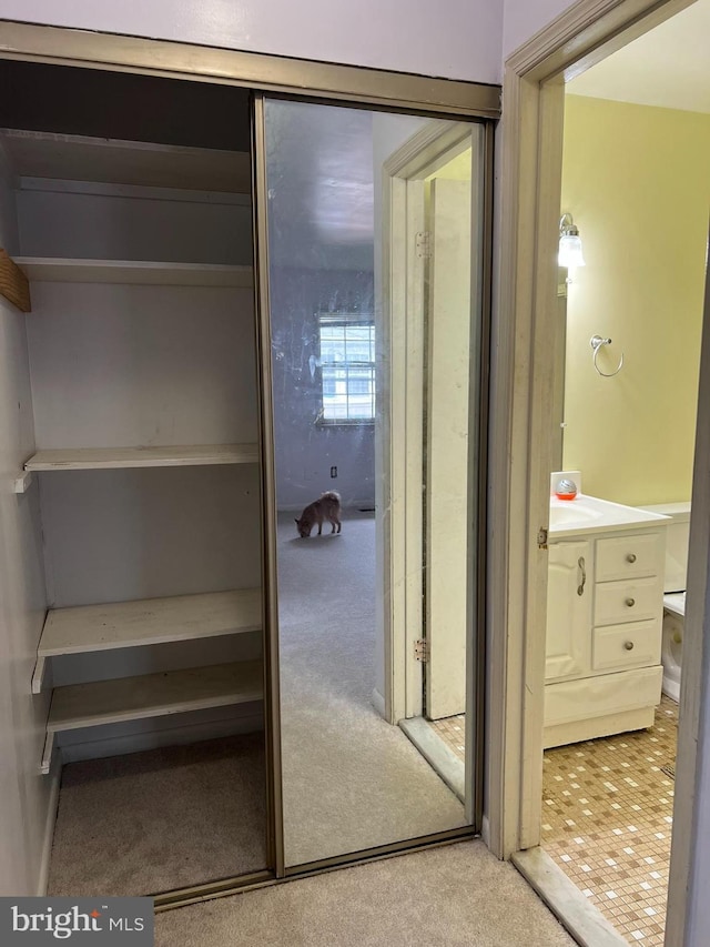 view of closet