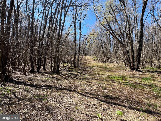 LOT162 Shawnee View Rd, Central City, PA 15926