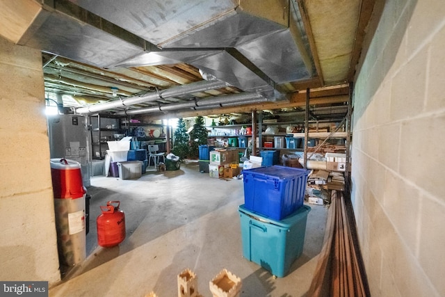 unfinished basement featuring concrete block wall