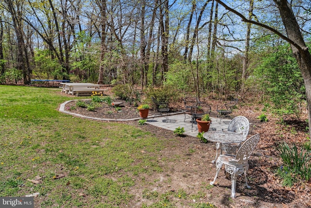 view of yard with a trampoline and a patio area