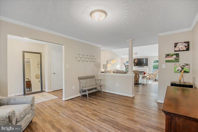 6815 Interlude Pl, Hughesville, MD 20637 - living room featuring decorative columns, wood finished floors, a textured ceiling, and crown molding