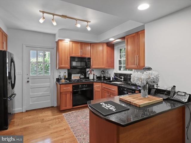 kitchen featuring light wood finished floors, plenty of natural light, black appliances, and a sink