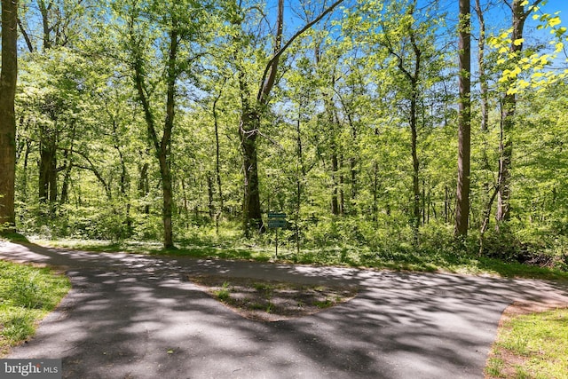 5311 Crestedge Ln, Rockville, MD 20853 - view of street with a forest view