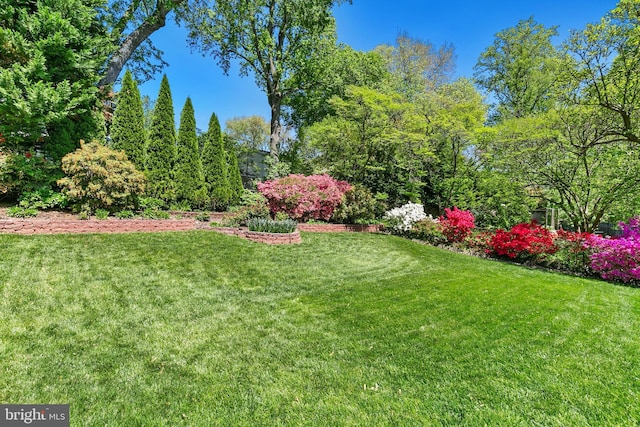 5311 Crestedge Ln, Rockville, MD 20853 - view of grassy yard