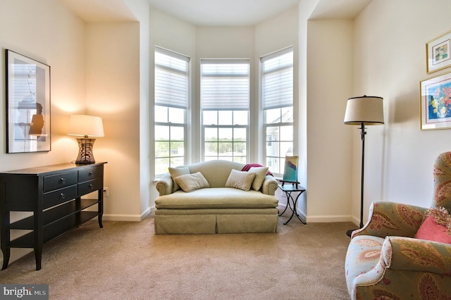 living area with carpet floors and baseboards