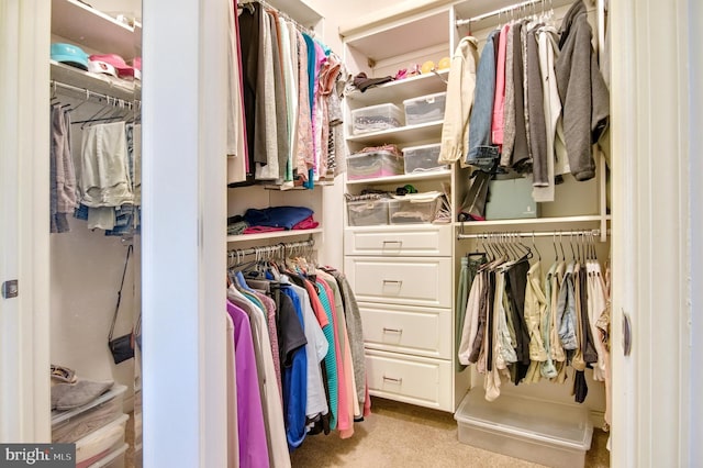 view of closet