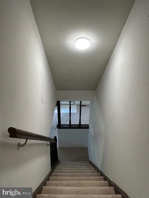 staircase featuring carpet