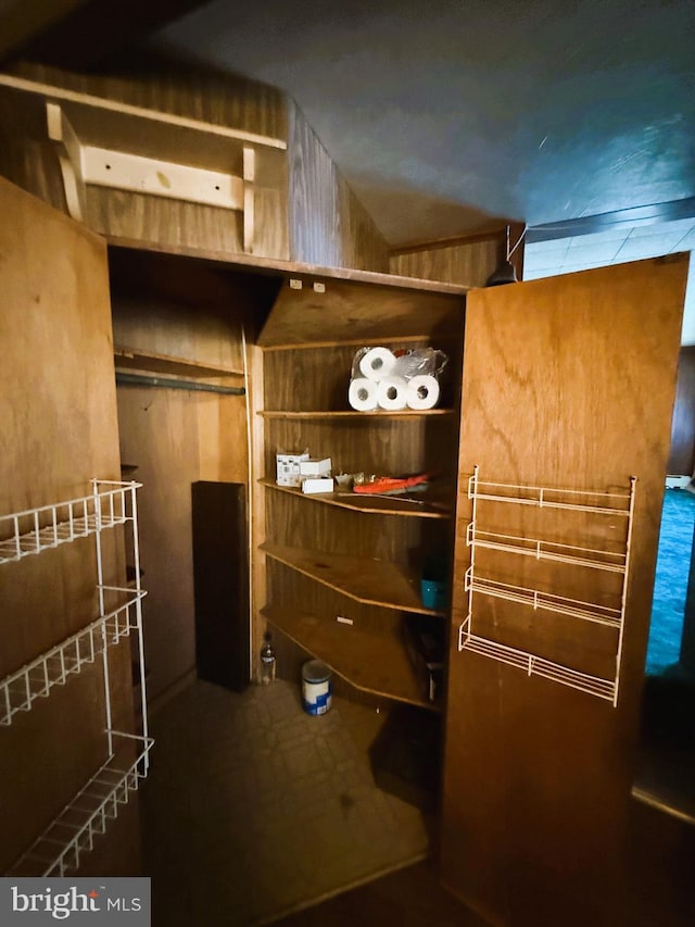 377 Main St, Cedarville, NJ 08311 - view of walk in closet