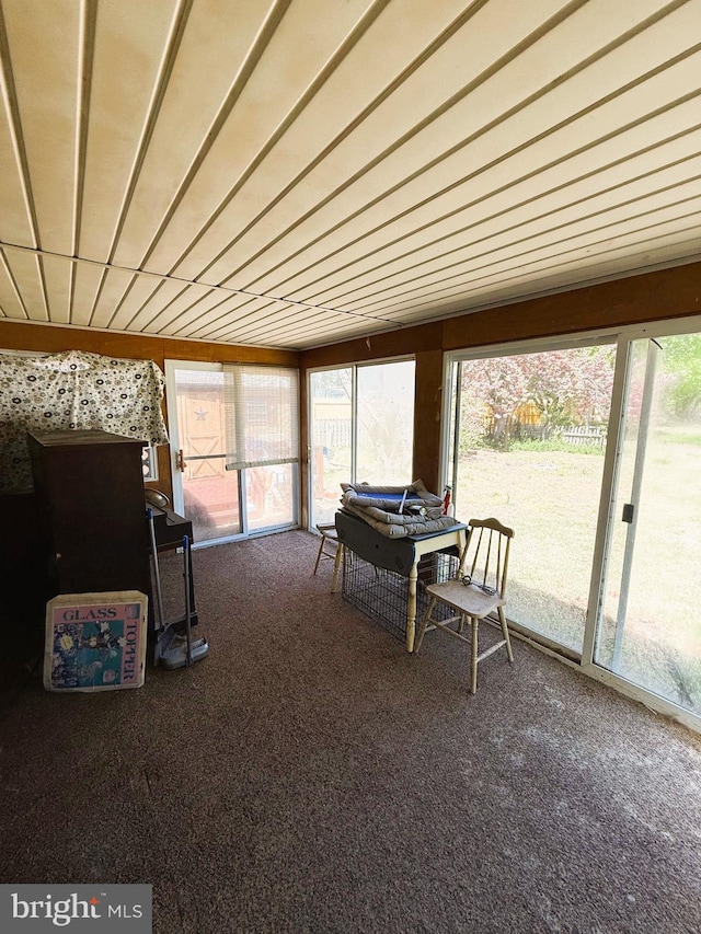 377 Main St, Cedarville, NJ 08311 - sunroom / solarium featuring carpet floors