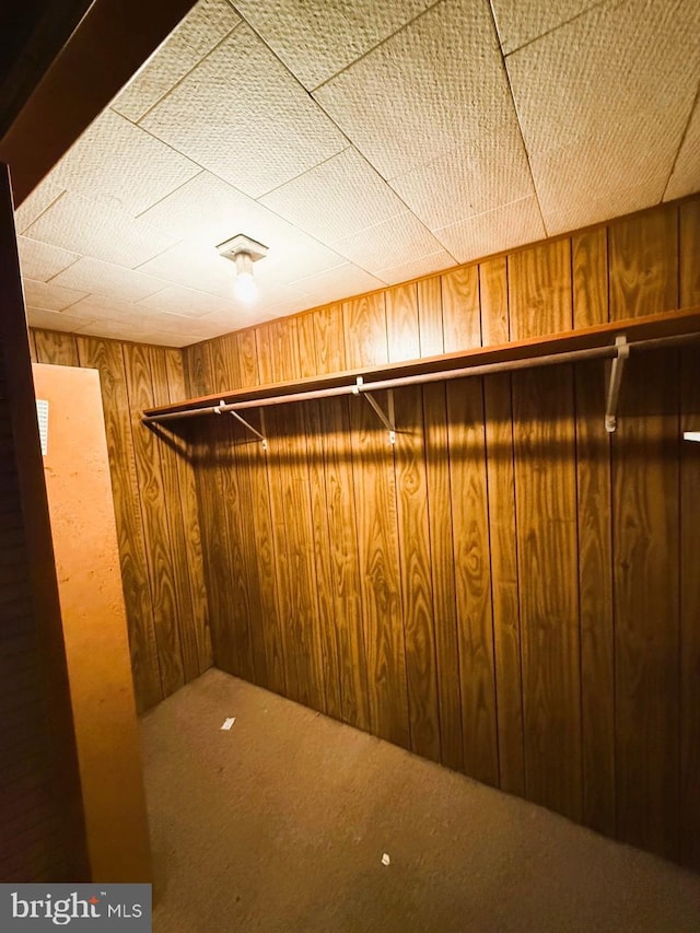 377 Main St, Cedarville, NJ 08311 - walk in closet with carpet floors