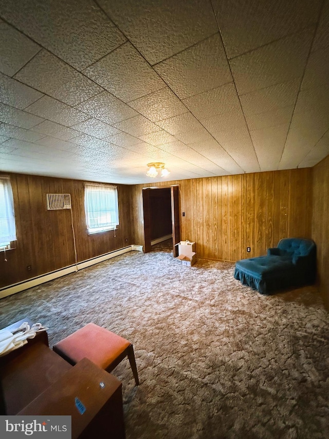 377 Main St, Cedarville, NJ 08311 - below grade area with wooden walls, a baseboard heating unit, and carpet flooring